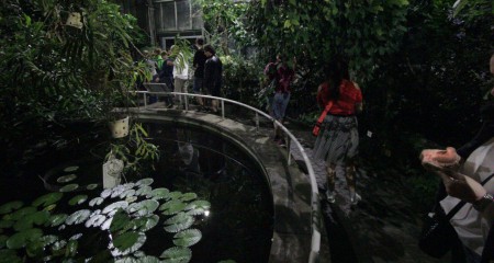 botanicka-zahrada-uk-praha-venkovni-a-sklenikova-expozice